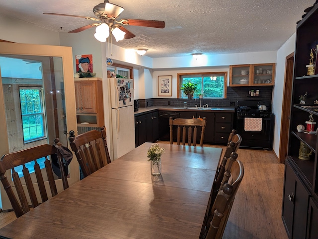 dining area with a textured ceiling, hardwood / wood-style flooring, sink, and ceiling fan