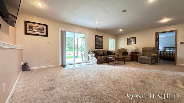 carpeted living room featuring a textured ceiling