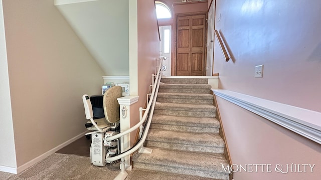 stairs featuring carpet floors