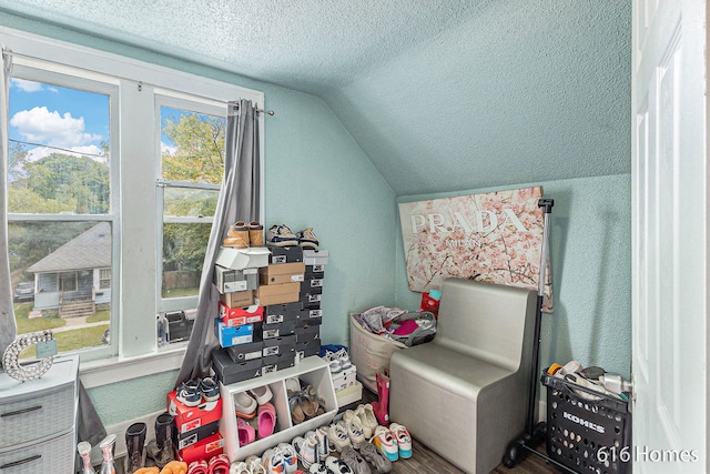 rec room with lofted ceiling, wood-type flooring, and a textured ceiling