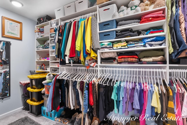 walk in closet featuring carpet flooring