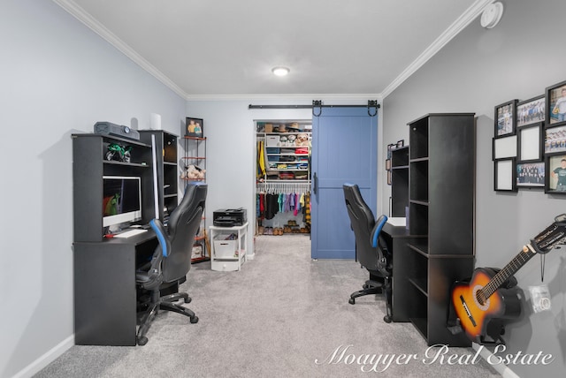 office area featuring ornamental molding and carpet flooring