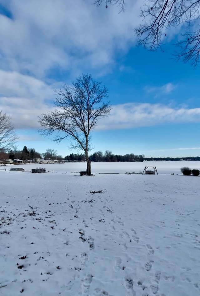 view of yard covered in snow