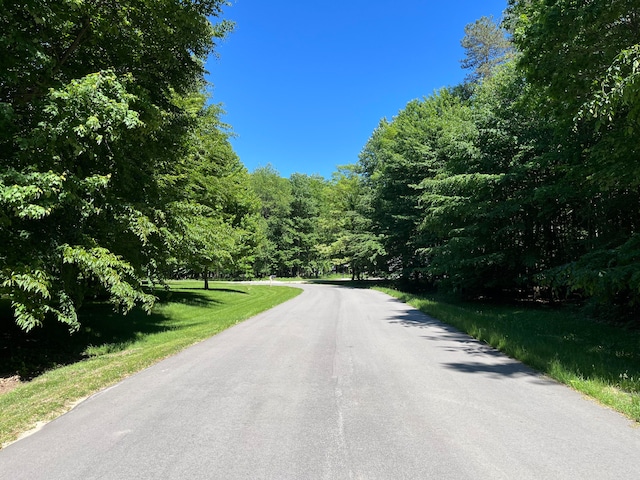 Listing photo 3 for LOT17 Austrian Dr, Grant MI 49327