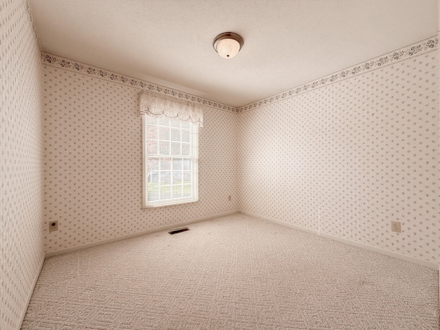 empty room with carpet and a textured ceiling