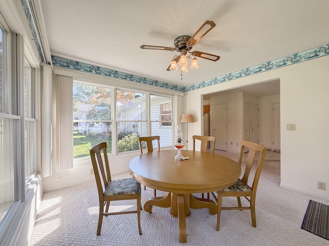 carpeted dining area with ceiling fan and a textured ceiling