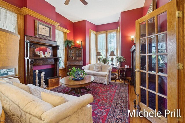 living room featuring ceiling fan and hardwood / wood-style flooring