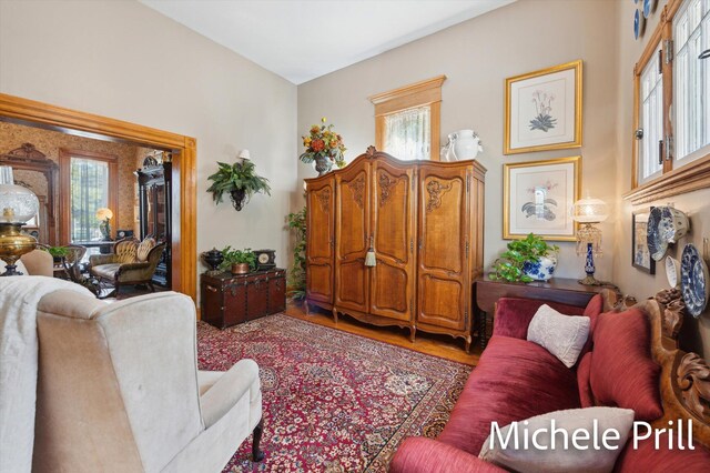 living room featuring hardwood / wood-style floors