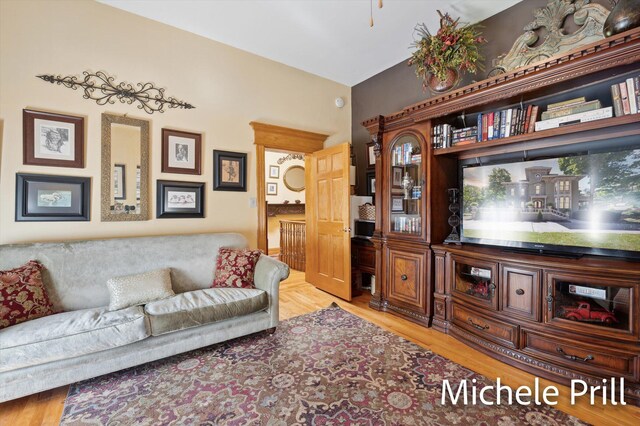 living room with light hardwood / wood-style floors