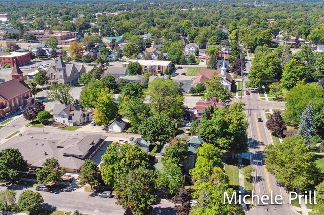 bird's eye view