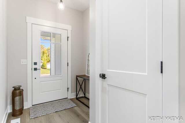 foyer featuring light wood-type flooring