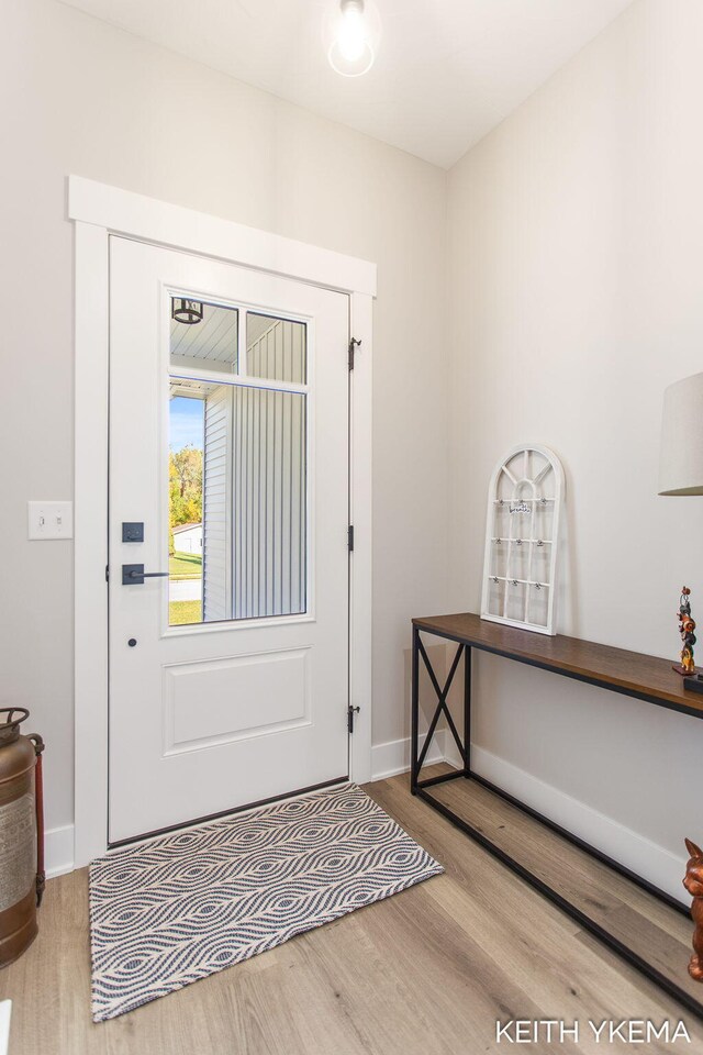 foyer entrance with light hardwood / wood-style floors