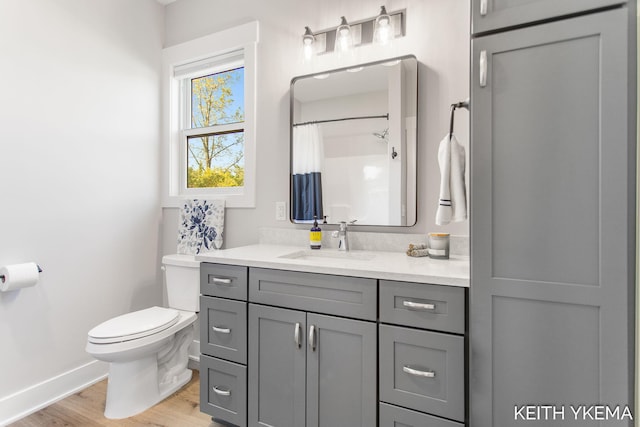 bathroom featuring wood-type flooring, a shower with curtain, vanity, and toilet