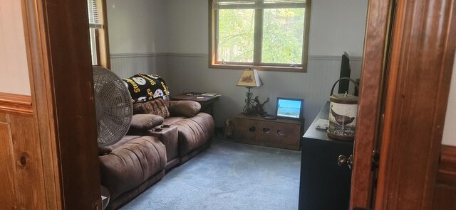 living area featuring a wainscoted wall and carpet flooring