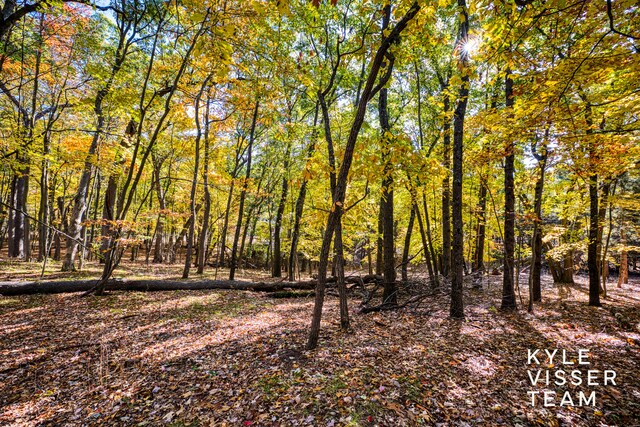 view of landscape featuring a forest view