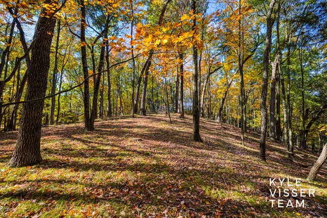 view of local wilderness featuring a view of trees