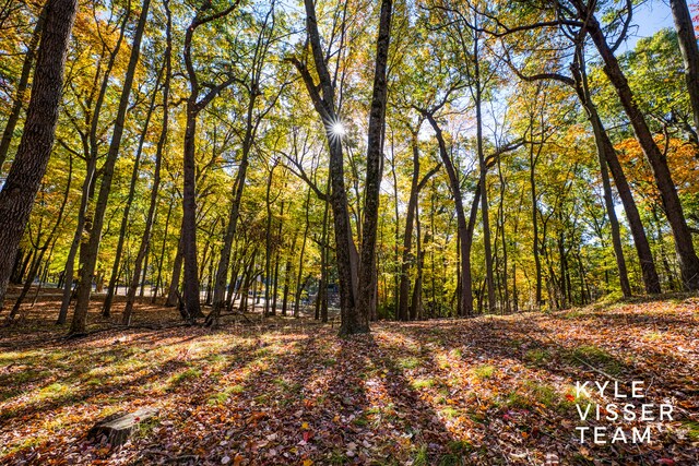 view of landscape with a wooded view