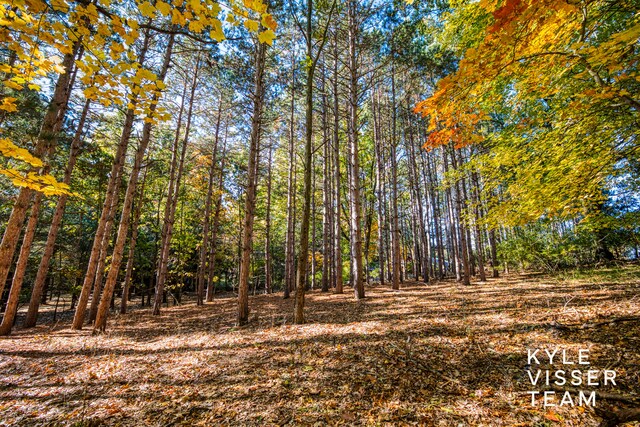 view of local wilderness featuring a forest view