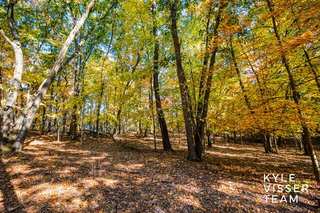 view of nature featuring a wooded view