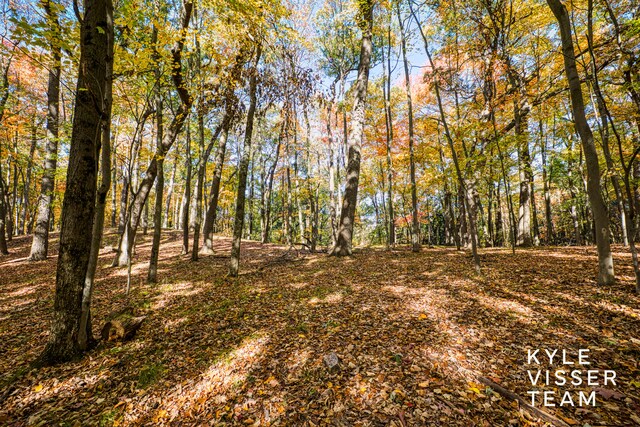 view of local wilderness featuring a wooded view