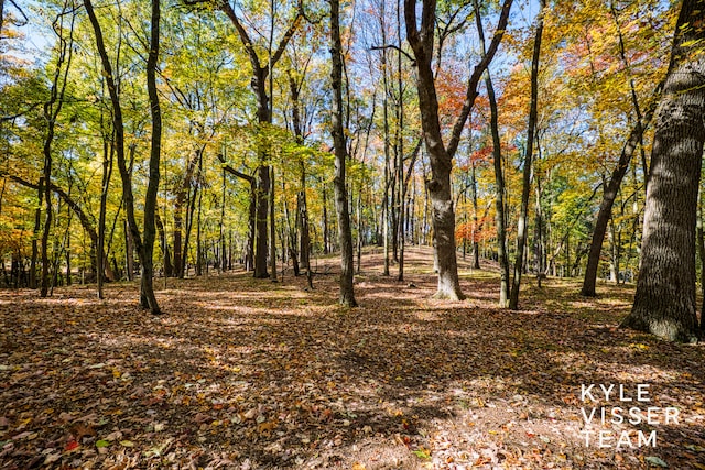 view of local wilderness featuring a view of trees