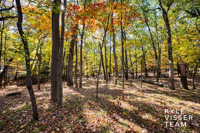 view of landscape with a forest view