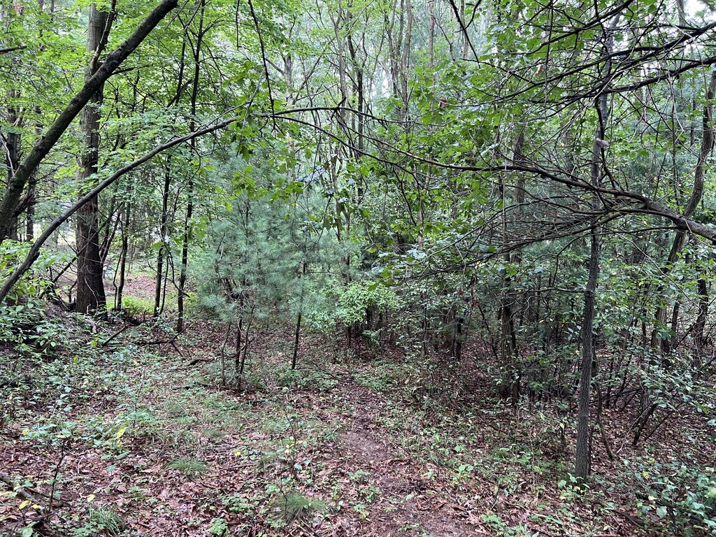 VL Hancock Road, Montague, MI 49437 - photo 2