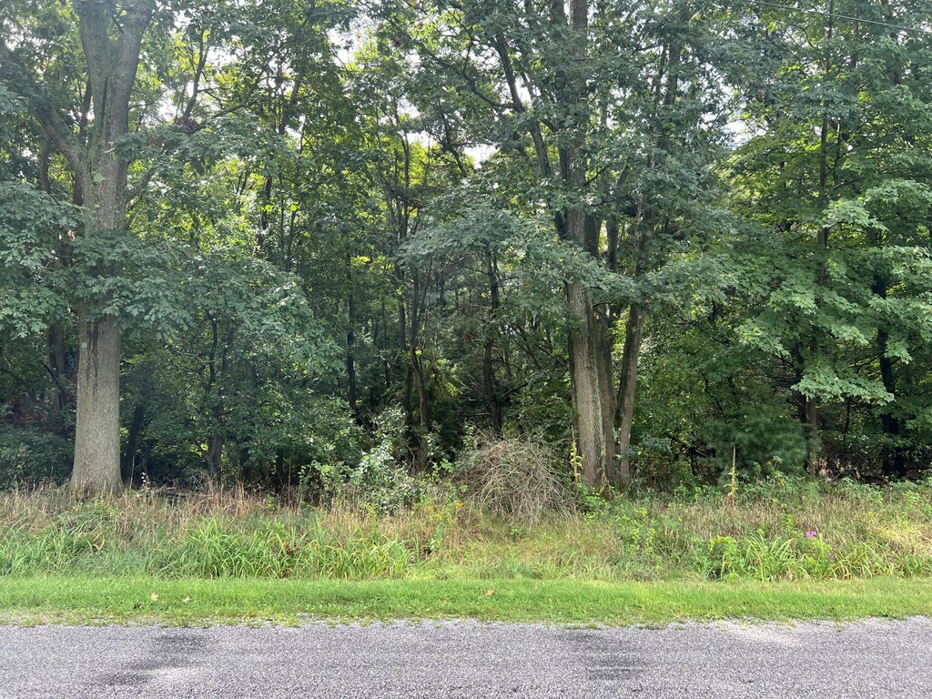VL Hancock Road, Montague, MI 49437 - photo 3