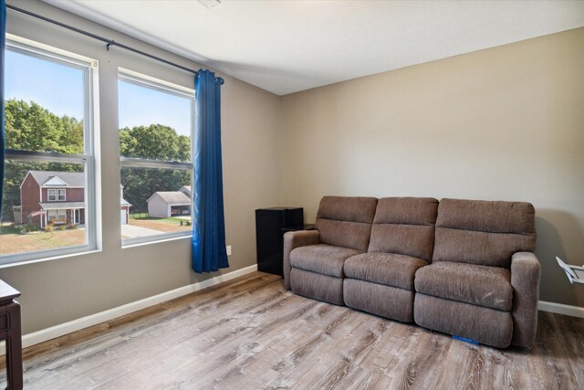 living room featuring hardwood / wood-style flooring and plenty of natural light