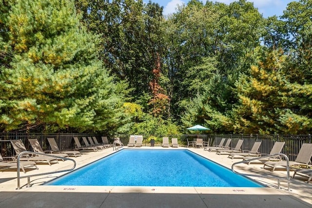 view of swimming pool with a patio