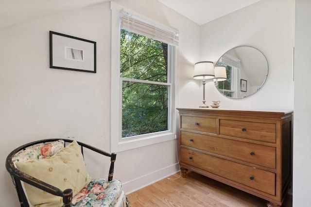 sitting room featuring light hardwood / wood-style flooring and plenty of natural light