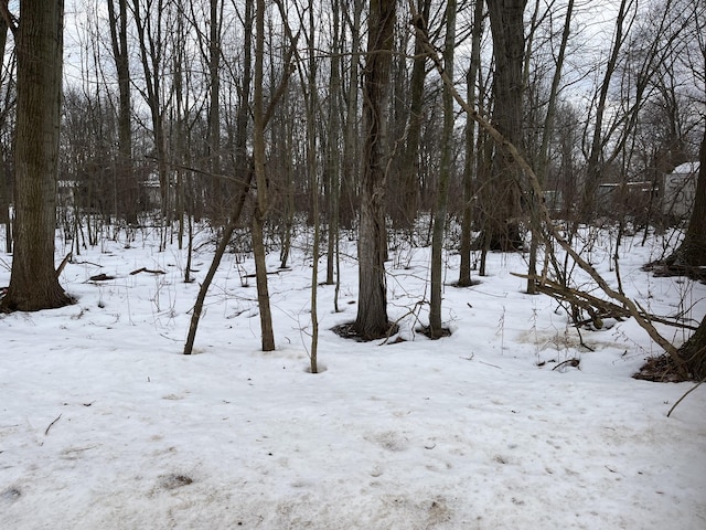 589 48th St, Grand Junction MI, 49056 land for sale