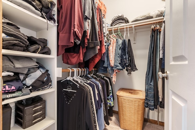 spacious closet featuring carpet floors