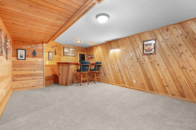 bar with carpet and wooden walls