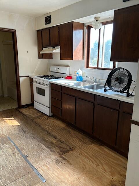 kitchen with white gas range, sink, light wood-type flooring, and dark brown cabinets