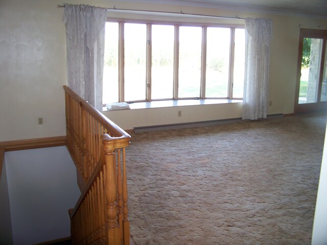 carpeted spare room with plenty of natural light