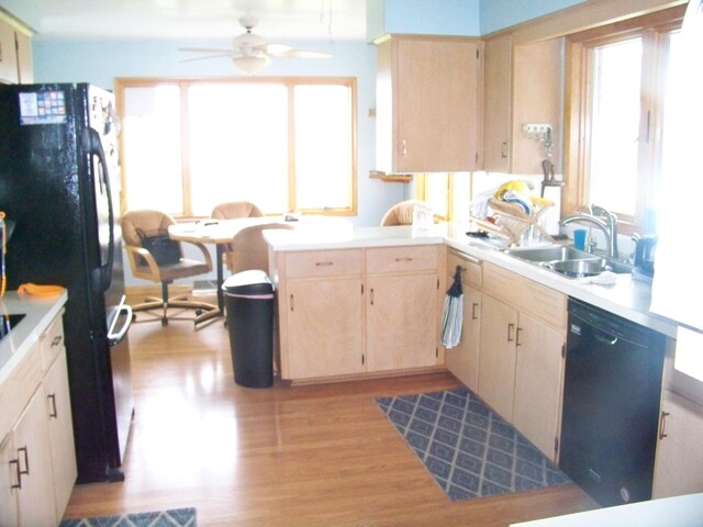 kitchen with a wealth of natural light, black appliances, and ceiling fan