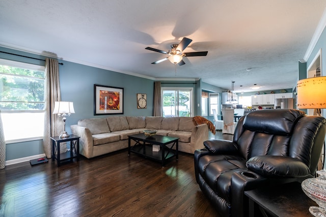 living room with ceiling fan, ornamental molding, plenty of natural light, and dark hardwood / wood-style floors