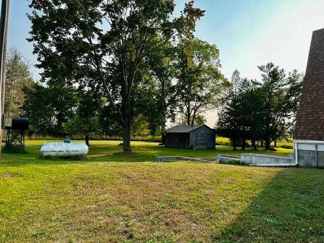 view of yard with a storage unit