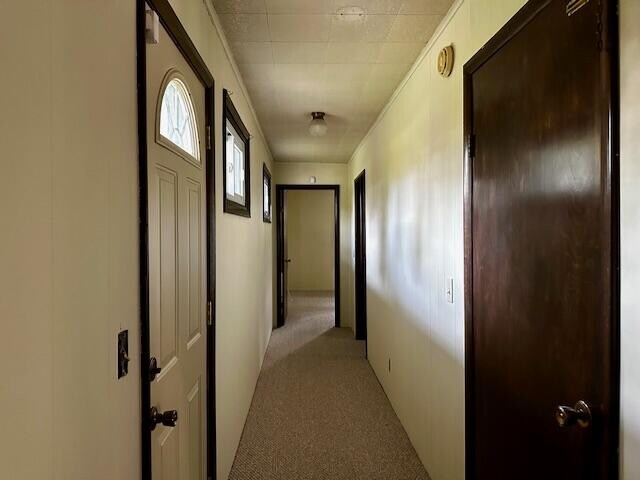 corridor with light colored carpet