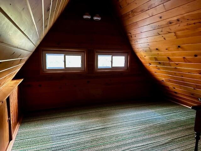 additional living space featuring lofted ceiling, a healthy amount of sunlight, wooden walls, and carpet floors