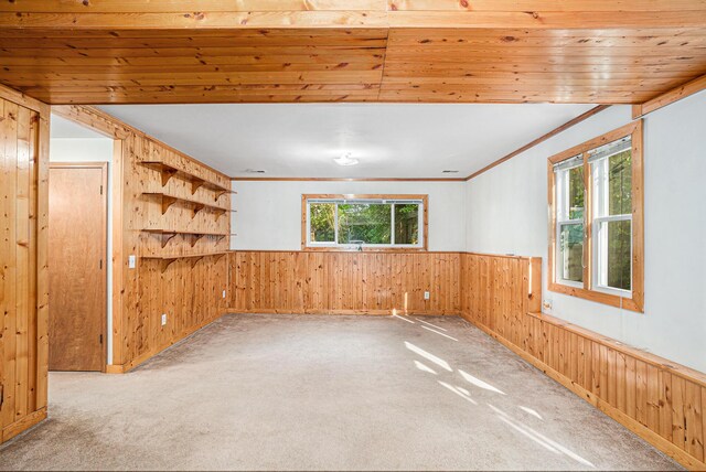 spare room with wooden walls, carpet, and ornamental molding