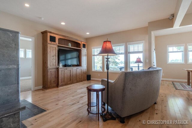 living room with light wood-type flooring and plenty of natural light