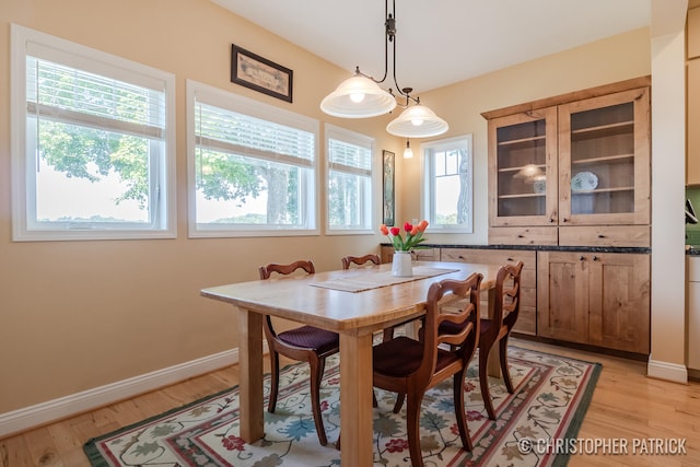 dining room with a wealth of natural light and light wood-type flooring