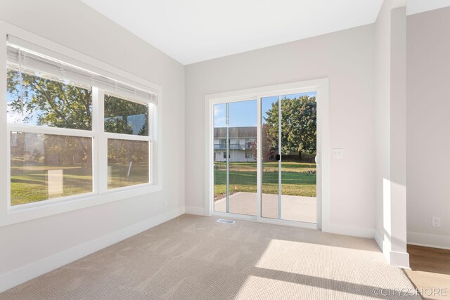 carpeted empty room featuring a wealth of natural light