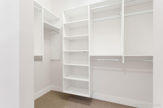 spacious closet with carpet