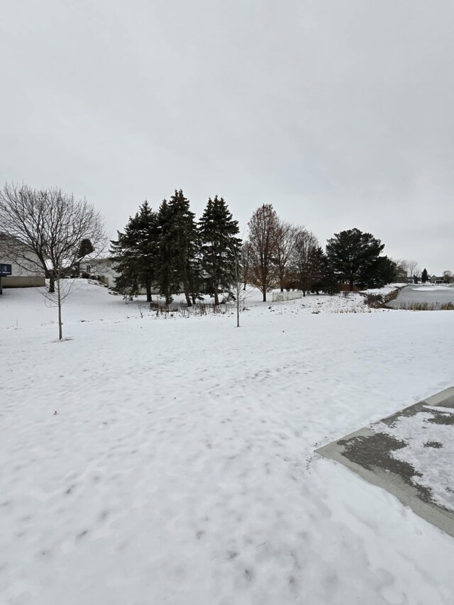 view of yard layered in snow