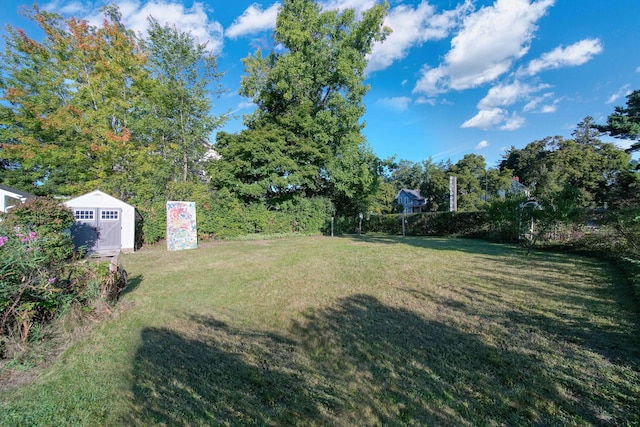 view of yard with a shed