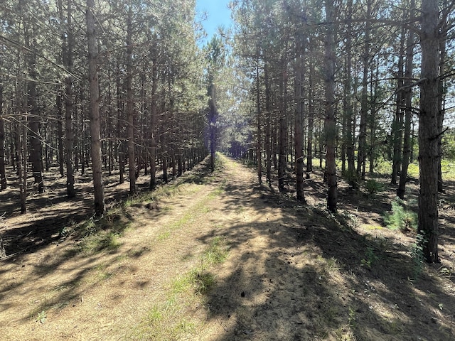 2622 S Sheridan Rd, Caro, MI 48723 - view of nature