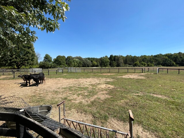 view of yard with a rural view